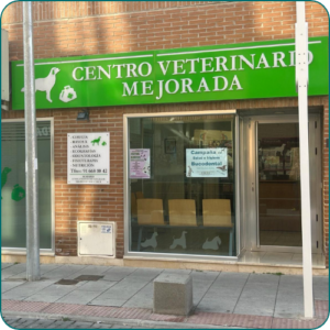 veterinaria en mejorada del campo instalaciones fachada