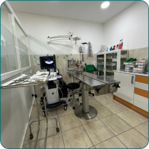 veterinaria en mejorada del campo instalaciones sala cirugía